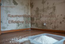 Raumentfeuchter Granulat Effektive Schimmelabwehr