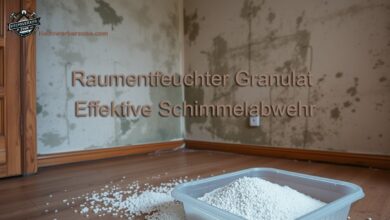 Raumentfeuchter Granulat Effektive Schimmelabwehr