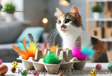 Katzenspielzeug selber machen