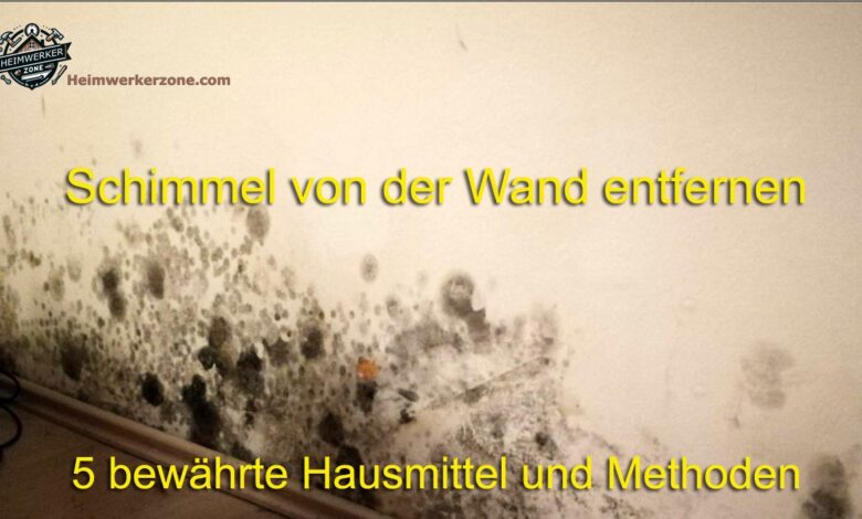 Schimmel effektiv von Waenden entfernen