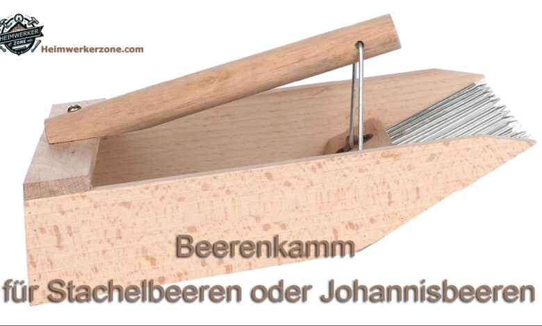 Beerenkamm selber bauen