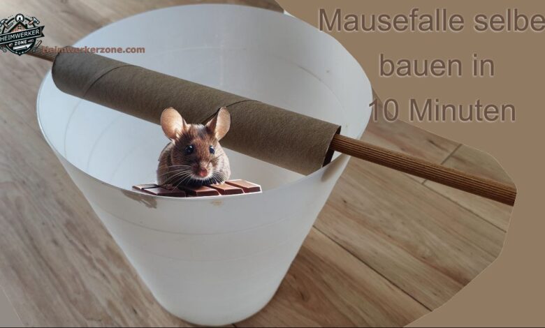 Mausefalle selber bauen in 10 Minuten