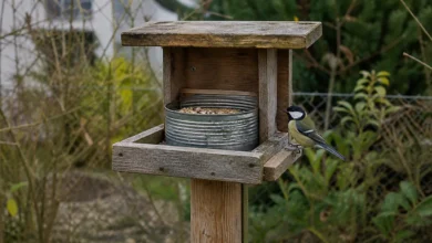 Vogelfutterhaus aus Altholz und einer wiederverwendeten Konservendose