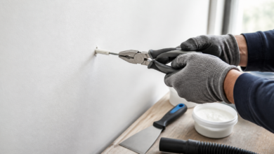 Dübel mit Schraube und Zange vorsichtig aus einer Wand entfernen